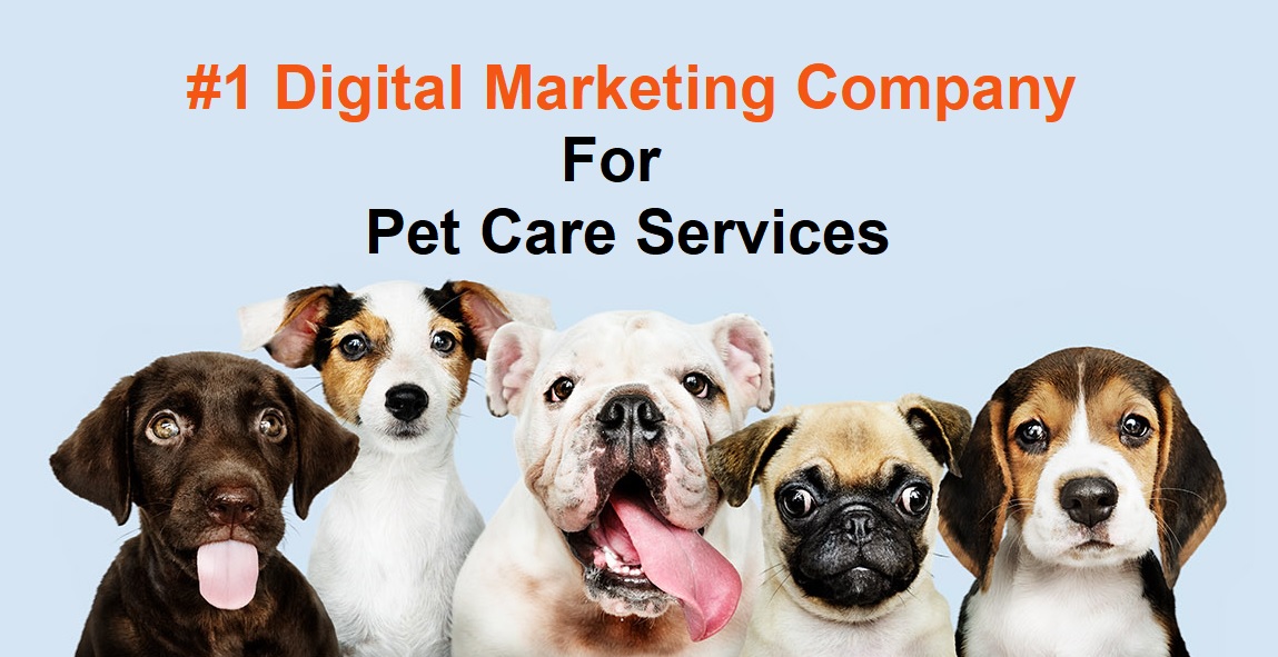 Digital Marketing Company For Pet Care Services Provider in Delhi, India